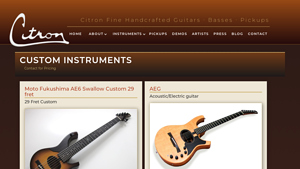 Citron Guitars - Custom Acoustic/Electric Instruments