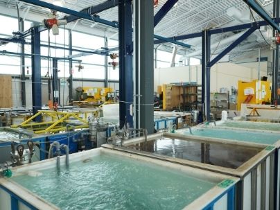 Chemical Conversion Coating Aluminum Manufacturing Service