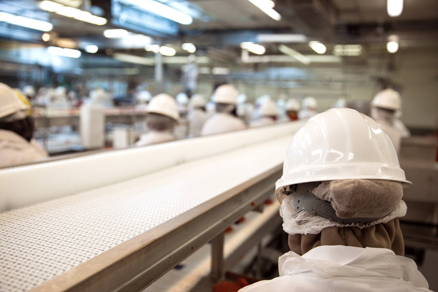 plastic cutting board sheet